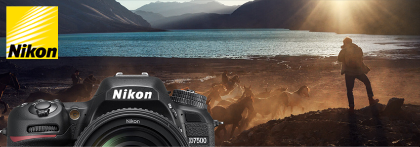 nikon d7500